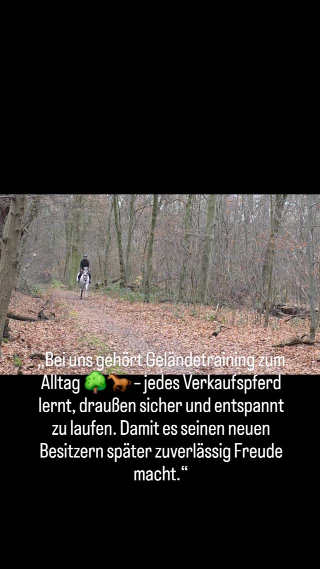 „Interessiert? Wir beraten euch gern zu unseren aktuellen Verkaufspferden.“
#Pferde
#Horse #Verkaufspferd #SaleHorse
#Geländetraining #TrailRiding
#Geländereiten #HorseTraining
#Ausbildungsstand
#Reitsport #EquestrianLife #Pferdeliebe #Reiterleben
#HappyHorse #TrustYourHorse
#Braunschweig #maresilange