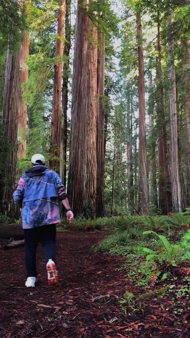 Redwood national park
Grove of titans trail
Redwood Grove of Titans’da 8 millik efsanevi bir yürüyüş: 3 saat 30 dakikada dev ağaçların kalbinde kaybolmak… Sessizlik, büyü ve doğanın gücü bir arada. 🌲✨
8 miles through the Grove of Titans: 3h30 of towering redwoods, quiet magic, and raw nature. A trail that makes you feel small in the best way.
#hiking #travel #california #redwoodsnationalpark
