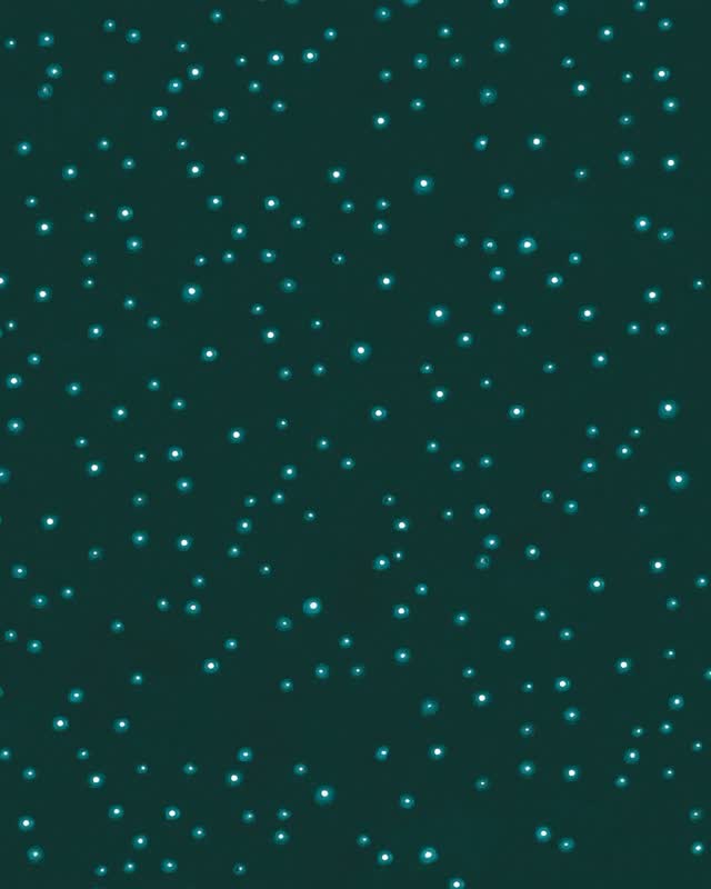 Nouveauté en librairie ! 🎄🎁🦊🐓
« Le Renard de Noël » est désormais disponible. Quelle joie de repartir à l’aventure avec @ericsanvoisinn et @delphine_jacquot :) Cet album est un délice d’écriture (le texte d’Eric Sanvoisin est toujours aussi drôle, truculent et jubilatoire. Et nous retrouvons la double lecture, comme dans « Marions-les ! », avec un sapin et un lutin qui commentent l’histoire principale) et d’illustration (Delphine Jacquot nous charme toujours autant avec ses dessins bien sentis, parsemés de mille détails, et tellement évocateurs). Si vous voulez une histoire de Noël drôle et originale dès 6 ans, foncez ! 48 pages/16,50€
Information importante: rien n’est dit qui remet en question l’existence du Père Noël ;) #letageredubas
#albumjeunesse #nouveauté #lerenarddenoel #ericsanvoisin #delphinejacquot #litteraturejeunesse #harmoniamundi #editionindependante