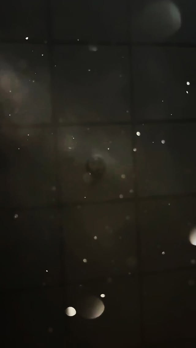 Who asked for SPARKLES✨
The dress everyone is talking about, waiting for you 🥹
With only 3 weekends left until Christmas - make sure you have your appointments booked to come and visit us across December.
Our Christmas hours will be posted - we re-open in January on the 2nd! 🎄
You can call, book online or via DM, always here to help 📞
#promdresses #promshopping #prom #promshop #prom2026 #partydresses