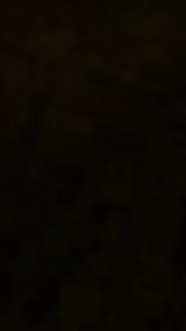 Nisi suites in the heart of bingin growing week on week. PBM project management and quantity surveying
#baliwellness #pbmbali #buildingdreamvillasinbali #balidreamvillas #constructioninbali #baliquantitysurveying #baliconstruction #buildinginindonesia #buildconsultancyinindonesia #balivilladesign #livinginbali #projectmanagementindonesia #baliprojectmanagement #resortsandvillasinbali
#quantitysurveyingbali