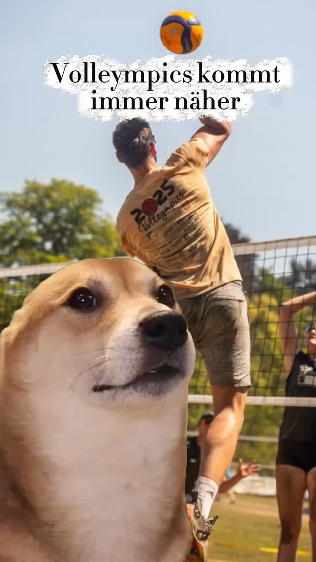 Wir wünschen euch allen einen schönen 1. Advent🎄
Zählt ihr auch schon die Tage?!📆