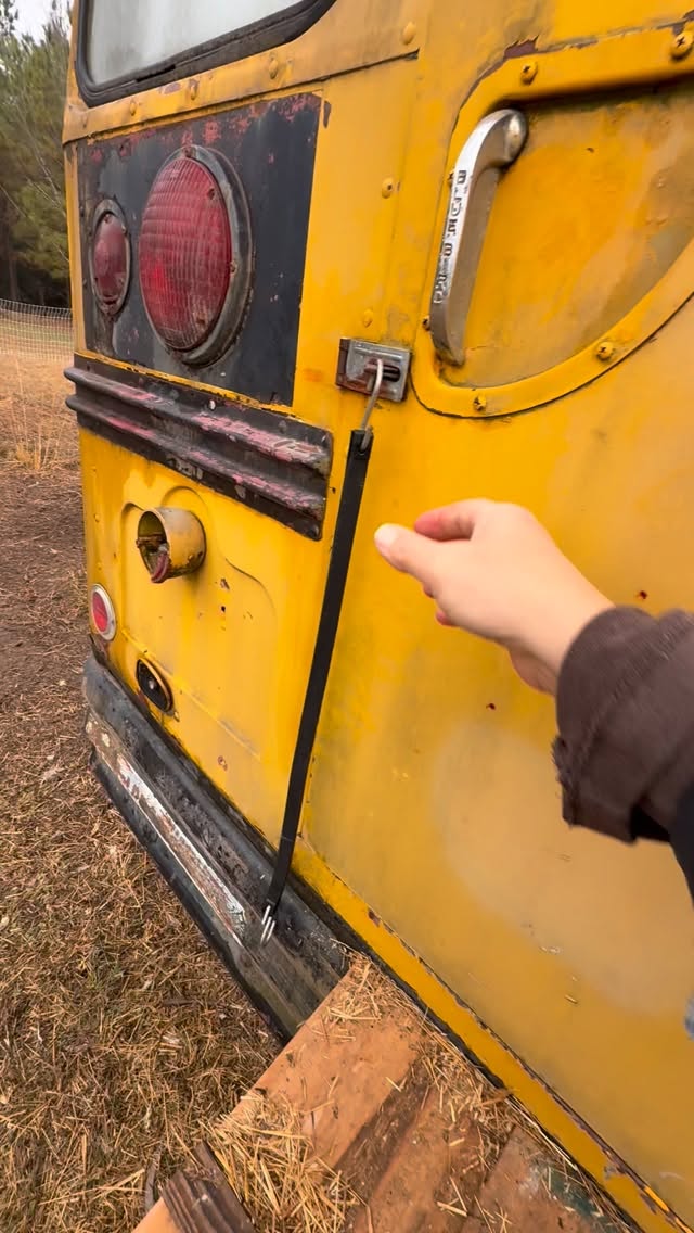What do you keep in your school bus?? This old 1969 bus has been repurposed as a chicken coop. Currently the chickens are tasked with clearing out the tunnel and fertilizing for Spring planting. We only have 27 hens now, but this old bus has held up to 150 in our early years of raising chickens.
#farmlife #farmfresheggs #schoolies #schoolbus #chickencoop