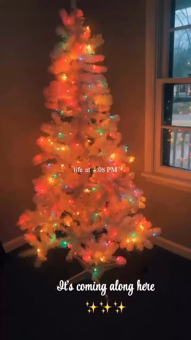 Cassie has a Christmas tree! 🎄
Yes, Cassie and her four children are settling into their new home and even have a few Christmas decorations! 🥹
She sent me a walk-through video of the house yesterday and I saw so many of the items from the Amazon Wishlist you gifted her! Thank you!! 🌟
Cassie still loves her job and is overwhelmed with gratitude for how God is moving in her life.
To think we met her in a strip club while she was pregnant—and now baby is about to turn one, she’s moved out of her mom’s house, no longer sleeps on a couch, and works front desk at a real estate agency! 🏠
I adore the friendship that we have and am blessed by her courage and tenacity. 😊
And I’m still believing for one more thing for Cassie—for her teeth to get fixed! They are rotted out and painful.
She’s been quoted $20,000-30,000, but I just know God is going to make a way. This would greatly improve Cassie’s self-confidence and her health.
Will you pray with me for Cassie’s teeth and for the right solution nearby to her in the greater St. Louis area? 🙏🏻
Thank you all for loving her and her children the way we do! 💖
Don’t you love that sweet baby voice in the background? 🥰
#morninggloryglobal #disruptors #StripClubOutreach