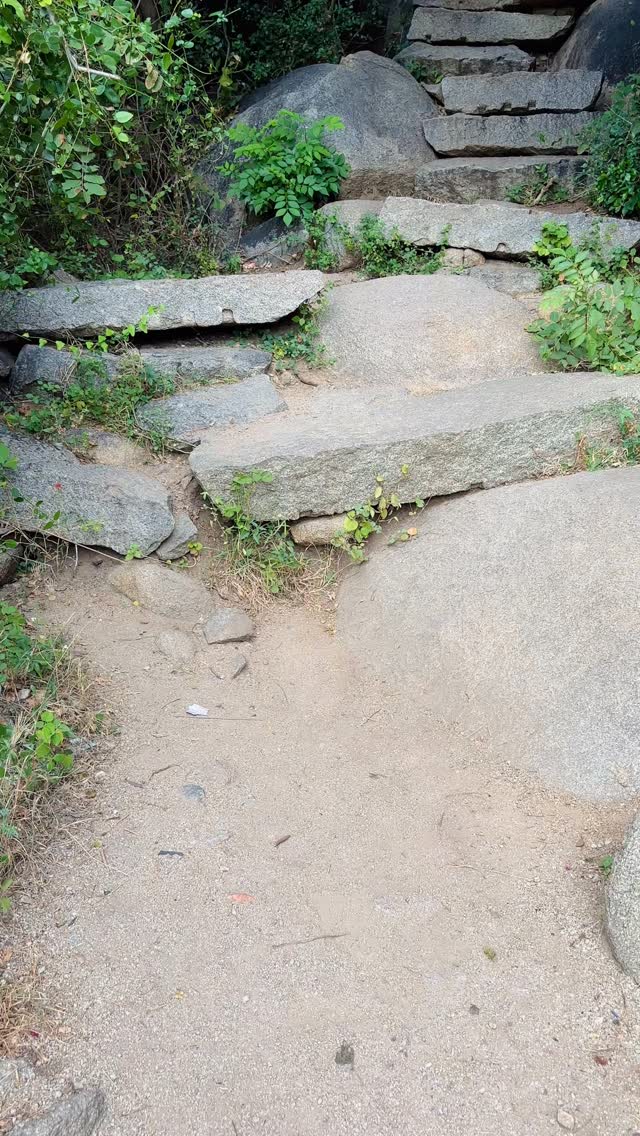 What a day it turned out to be. A steep climb, a hint of risk, and Hampi opening up in breathtaking layers from the top. Easily one of the most rewarding moments of this trip.
#HampiDiaries #TravelIndia #HillClimb #KarnatakaScenes