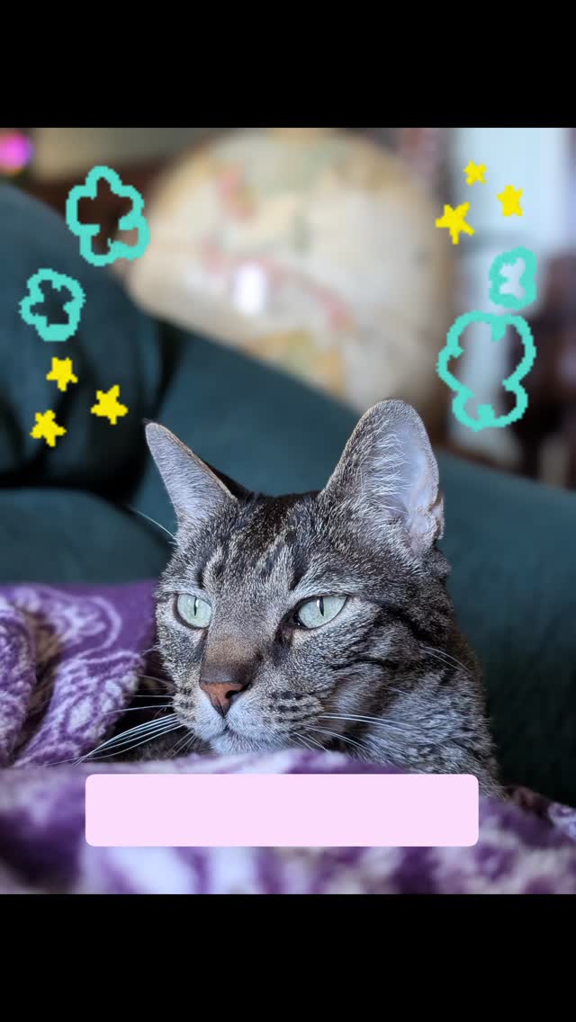 Let's start dreaming about your next Vacation!
š“ā°ļøšµšŗš²š¼ā©ļøāļøš°
I can help!
Divinin.com
#newyearsresolution
#travel
#vacation
#adventure
#diving