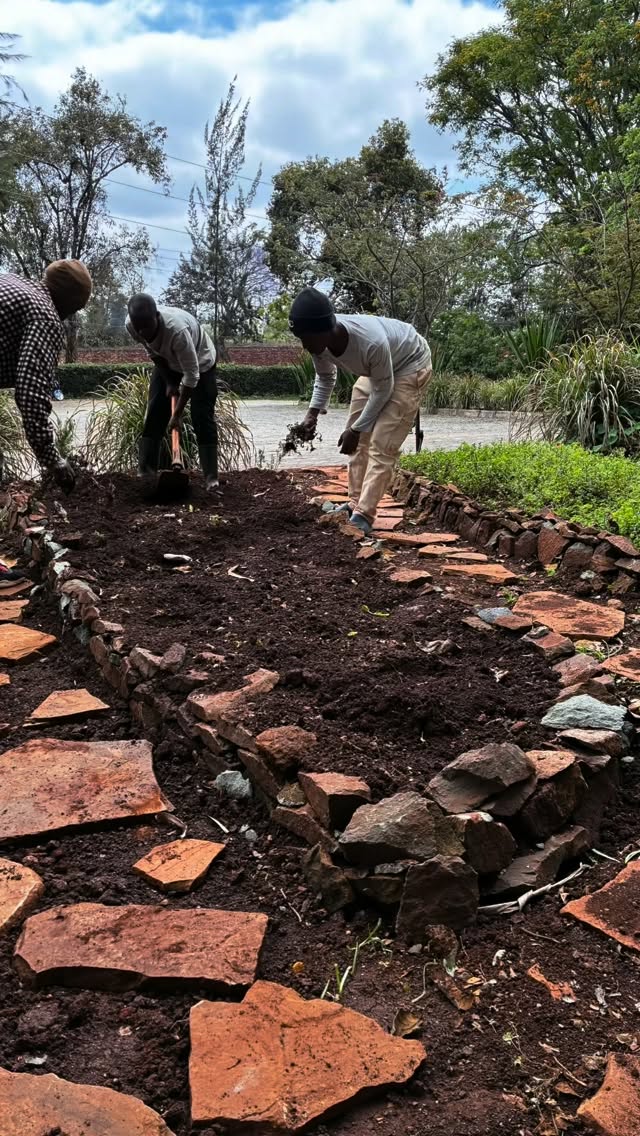 A lot of effort, energy, and motivation has gone into laying a strong foundation with the Shamba Café gardening and maintenance team periodically over the last few weeks. We’re really hoping the staff can carry this momentum forward, and multiply the possibilities of what this space can become.
From seed preparation and consistency, to diversity, zoning, composting, resource management from the site itself, and overall care plus proper planning… every small action adds up. Here’s to seeing the site grow into its full potential🤞Kudos to this team that have done a lot in a short amount of time in preparation for their Christmas season at Shamba!