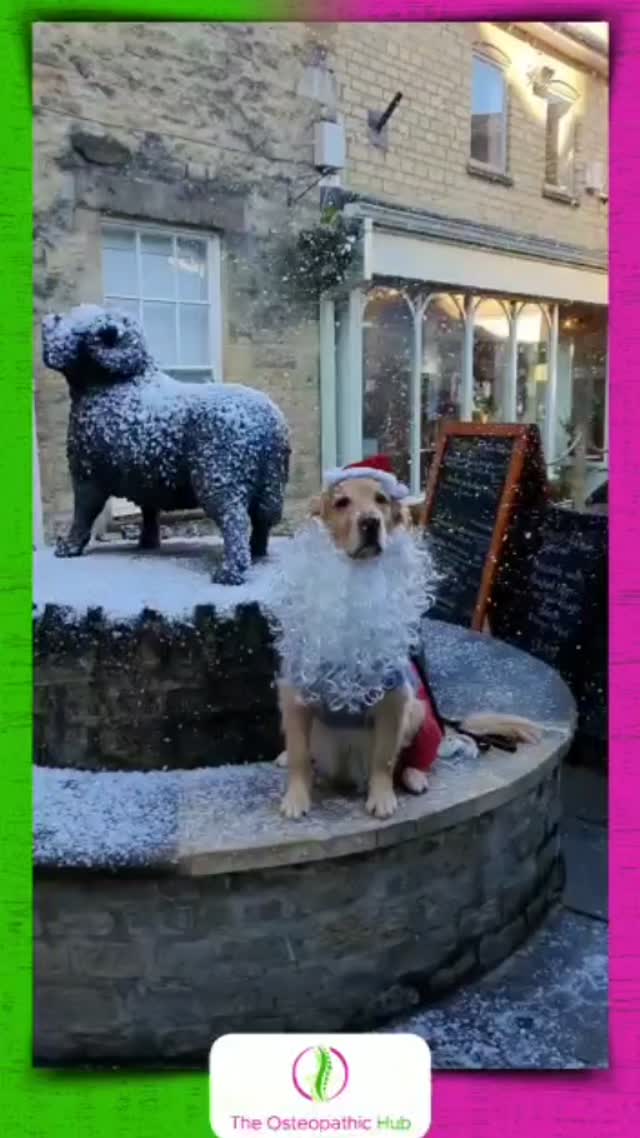 Merry Christmas Cotswolds!!
#cirencester #cotswolds #theosteopathichub #osteopathicmedicine #healthcare