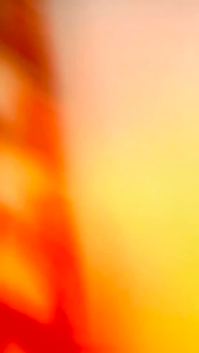 November was full of wagging tails, second chances, and new beginnings 🧡🐾
From cuddles to forever homes, our offsite @petsmart adoptions were a huge success — all thanks to YOU! 💛🐾
Thank you for helping change lives!!
#pets #petsmart #humanesocietyofnorthtexas #hsnt #adopt #adoptdontshop❤️ #adoptdogs #adoptcats