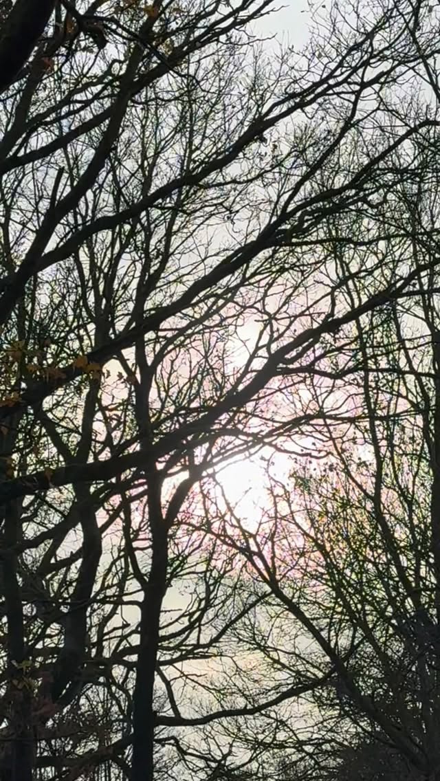 We have been busy over the #solstice weekend but still had time to enjoy that sunshine glow 🌞 Time now for some rest. We are excited for the New Year and all it will bring and are especially grateful for all those who have supported and followed our journey at Edgelands this year! ✨
A big thank you to all our clients and customers from the UK and abroad for all your support ⭐️ And to all our artists, friends, families, advisors, business partners and funders - thank you for being with us through thick and thin as we continue to develop and grow 🌱
We can’t wait to bring you exciting new experiences and artworks in 2026 💫
Warm winter wishes to you all
Amy & the Edgelands Team
🤍