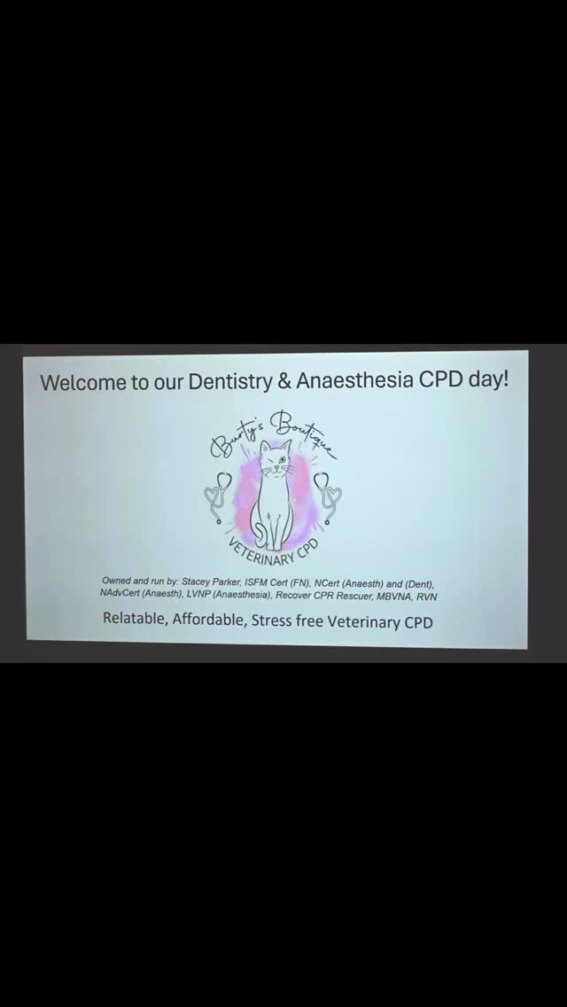 At the end of October we held our 4th Burty’s Boutique in person CPD Day 🐾🦷😊 We spent the day chatting all about Dentistry and Anaesthesia and had the best day with all our delegates. Huge thank you to everyone who attended, our speakers, the venue team, our sponsors and my amazing BB team. What an amazing day as we also celebrated Burty’s Boutique turning 2 ❤️❤️