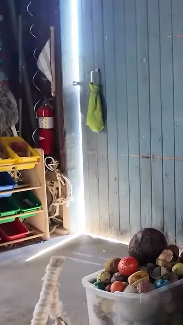 UpSculpt is on the news! ๐๏ธ
In case you missed it - check out our feature onย @news12liโs @eastendshow.ย
Host @erincolton joined our team in Southold @poemarine to learn about our mission! ๐
๐ LINK IN BIO!
Our feature on The East End aired four times over two weekends, reaching viewers across New York, Connecticut, and New Jersey. ๐ With the showโs annual reach of up to one million households, we are proud to share our story and introduce new people to UpSculpt.
Featuring our founder @cindypeaseroe and Director of Education and Outreach @bri.sandr.
#UpSculpt #Nonprofit #News12 #LongIsland #Southold