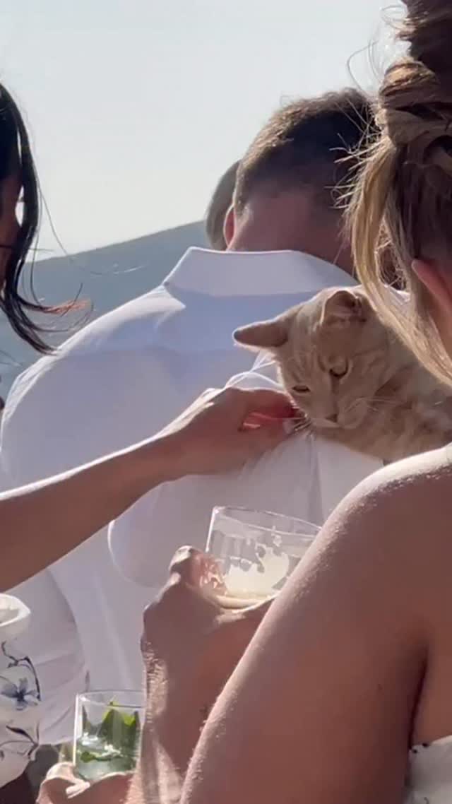 “Not the groom.
Still stole the show 😼
Follow me for more success tips 🙌”
Pru Pru, the #iosclub boss 😻
#catsofinstagram #cats_of_instagram #catslife