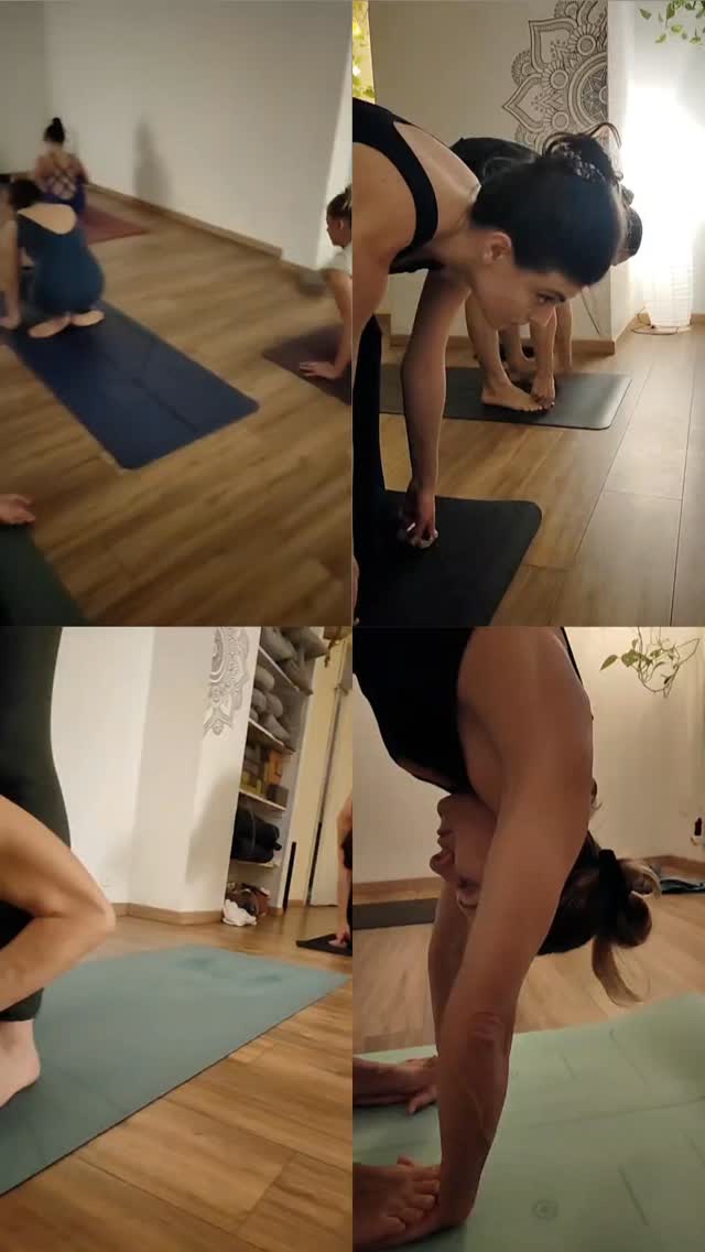 Ogni giorno a lezione mettiamo in gioco il nostro corpo, la nostra mente...ci mettiamo in gioco, per realizzare una trasformazione profonda...
.
.
Ti aspettiamo a lezione
Prenota tramite il link sotto 👇🏻
https://www.mobileapp.app/to/68o9sOm?ref=so
Usando il codice: FNFREZ
.
☎️+393358716785
📍 Ashtanga Shala Sicilia - via della libertà 56 - Palermo
www.ashtangashalasicilia.com
#ashtangayoga #yogapertutti #yoga #yogaitalia #yogajourney #ashtangateacher #trasformazioneyoga