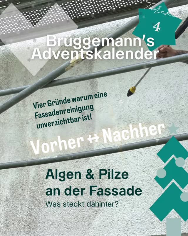 🎄TÜRCHEN 4 – Algen & Pilze auf der Fassade
Algen und Pilze auf der Fassade sind ein häufiges Schadbild, besonders an Gebäudeteilen, die wenig Sonne abbekommen oder dauerhaft feucht bleiben.
Auf unserem Vorher–Nachher-Foto erkennt Ihr deutlich, wie stark die Oberfläche durch organische Ablagerungen verschmutzt war und wie sauber der Putz nach der fachgerechten Reinigung aussieht.
Warum entstehen Algen und Pilze?
Typische Ursachen sind:
• dauerhafte Feuchte durch Regen, Tauwasser oder Schatten
• geringe Abtrocknung auf Nordseiten
• schmutz- und nährstoffhaltige Oberflächen
• hohe Feuchtebelastung auf WDVS-Systemen
Bevor eine Fassade gestrichen oder ein WDVS aufgebracht wird, ist eine gründliche Reinigung Pflicht.
Nur ein sauberer, tragfähiger Untergrund stellt sicher, dass:
1. Der neue Anstrich dauerhaft haftet
2. Ein frühzeitiger Neubefall reduziert wird
3. Das WDVS fachgerecht und sicher verbaut werden kann
4. Die Oberfläche gleichmäßig und technisch korrekt aufgebaut wird
Eine Reinigung „nur oberflächlich“ oder das Überstreichen ohne Vorbereitung würden die Problematik lediglich kurzfristig verdecken.
Wenn Ihr Fragen habt oder eine fachgerechte Einschätzung benötigt: Wir stehen Euch jederzeit gern zur Verfügung. @farbe.raum.fassade
#fassadenreinigung #algenundpilze #vorhernachher #untergrundvorbereitung #fassadensanierung #wdvs #malermeister #brueggemann #hochdruckreinigung #qualitätimhandwerk #meisterbetrieb #münchen #fürstenfeldbruck #maisach #anstrich #algen #pilze #maler #fassade #fungal #untergrund #reinigung #wdvs #fassadendämmung