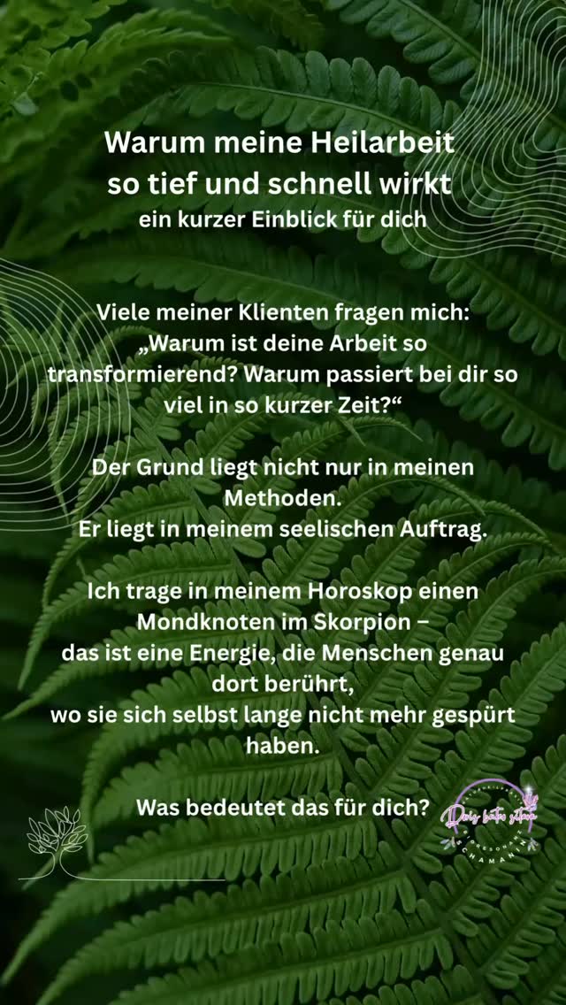 ✨ Wenn du spürst, dass es Zeit ist, wieder du zu werden…
Dann bist du hier richtig.
Meine Arbeit führt dich dorthin zurück,
wo dein System aufatmet,
deine Wahrheit wieder spürbar wird
und Heilung ohne Drama möglich ist.
Ich sehe schnell, was festhält.
Ich begleite klar, warm und wahr.
Wir gehen zum Kern — nicht zu den Symptomen.
Wenn dein Inneres ruft:
„Ich will nach Hause kommen“
— dann melde dich.
Mitakuye Oyasin 🤍🌿