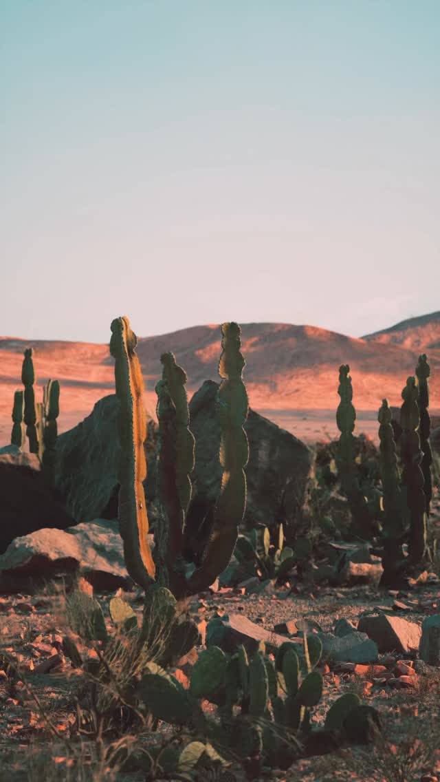 Happy Thanksgiving from our family to yours! 🌵✨
We’re taking a moment today to soak in the beauty around us and give thanks for the incredible people who make what we do possible—our amazing clients, partners, and this supportive community.
Whether you’re gathered around the table with loved ones or enjoying a quiet day in the desert sun, we hope your day is filled with gratitude, good food, and even better company.
Here’s to celebrating all the things (and people) that make life a little brighter. Cheers to you!
#entrepreneur #digitalmarketing #thanksgiving