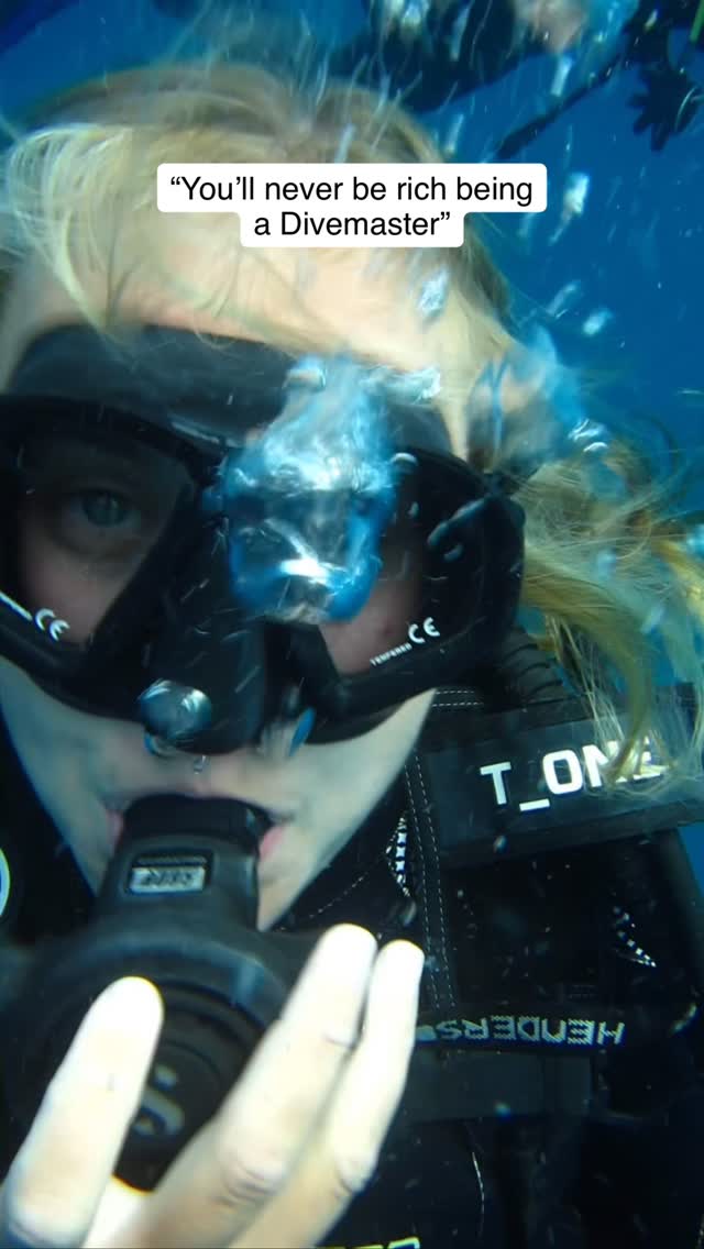 Rich looks different when the ocean is your office. 🌊🪸 if you want your 9-5 to look like this, becoming a PADI Divemaster is your first step. 🤿
Checkout our blended internship options that mix becoming a Divemaster with conservation and a vacation. ☀️🌴