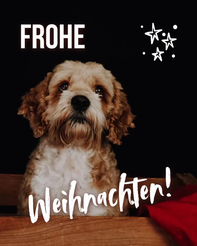 Die stillen Tage.
Weihnachten berührt – mal laut, mal leise.
Für manche ist es ein Fest der Freude. Für andere eher eine Zeit der Reflexion.
Und oft ist es beides.
Gerade in dieser besonderen Phase des Jahres liegt eine Einladung:
Zurückzublicken. Durchzuatmen.
Und zu spüren, was uns wirklich nährt – als Mensch, als Familie, in uns selbst.
Ich wünsche dir eine Weihnachtszeit, die dich stärkt.
Mit Momenten der Ruhe.
Mit echter Verbindung.
Mit kleinen Dingen, die gut tun – und lange nachwirken.
Und wenn du spürst, dass das neue Jahr Raum für Veränderung bringen darf, dann bist du bei GLOWFORCE von Herzen willkommen.
Ab Januar/Februar 2026 erwarten dich neue Formate:
✨ 1:1 Coachings für Erwachsene
Zur Stärkung deiner Selbstwahrnehmung, deines Selbstbewusstseins –
und für eine klare Neuausrichtung deiner Ziele und deines Weges.
Individuell, strukturiert und mit viel Raum für das, was dich bewegt.
✨ 1:1 Begleitung für Kinder und Jugendliche
Einfühlsame Unterstützung in ihrer Entwicklung –
mit altersgerechten Impulsen, kreativen Zugängen und der stärkenden Präsenz *meiner Hunde*.
Ein geschützter Raum, in dem sie sich gesehen, verstanden und innerlich gestärkt fühlen dürfen.
✨ Familien-Workshops
Für wertvolle gemeinsame Zeit – mit Fokus auf Ruhe, Verbindung und dem Gefühl, sich selbst und einander wieder bewusst wahrzunehmen.
Ein kraftvoller Ort zum Auftanken.
✨ Kurse für kleine & große Menschen
Zu den Themen Stressbewältigung, Burnout-Prävention, Gesundheit und Entspannung.
Ganzheitlich, alltagsnah, stärkend – für mehr Balance im Alltag.
Die genauen Termine gebe ich Anfang Januar bekannt.
Sei gespannt – und lass dich gern überraschen.
Danke für dein Vertrauen in diesem Jahr.
Ich freue mich auf alles, was wir 2026 gemeinsam wachsen lassen dürfen.
In Verbundenheit,
Julia 💛
#Glowforce #WeihnachtenmitHerz #achtsamleben #ganzheitlichesCoaching #Selbstfürsorge innereStärke Stressbewältigung Burnoutprävention CoachingfürFrauen CoachingfürKinder hundegestütztesCoaching Familienzeit Verbindungstutgut Elterncoaching Gruppenprogramm Einzelcoaching