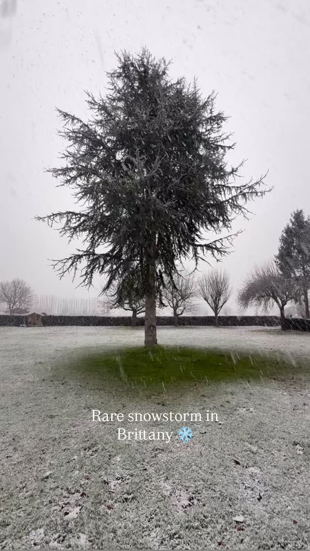 Brittany turned into a winter wonderland yesterday with a rare snowstorm, making for a stunning sunset and sunrise, along with a snow day reminiscent of childhood. When a snowflake lands on my tongue, it tastes of nostalgia.
âď¸âď¸âď¸
#snowstorm #snow #snowyday #hare #snowday #snowsnowsnow #snowysunrise #snowysunset #bretonhorse #brittanyinwinter #bretagne #winterinfrance #winterstorm #winterwonderland #coach #coaching #lifecoaching #lifecoach #executivecoaching #executivecoach #moonlightmusings #hello_france