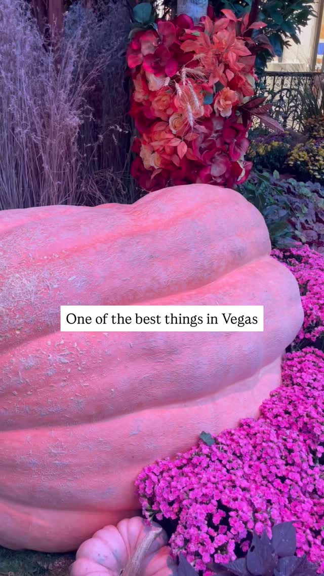 Earlier this fall my daughter & I took a quick trip to Vegas , this is the second time I’ve seen the Bellagio floral displays, jaw dropping!!! And yes I touched a lot of it, I couldn’t help it