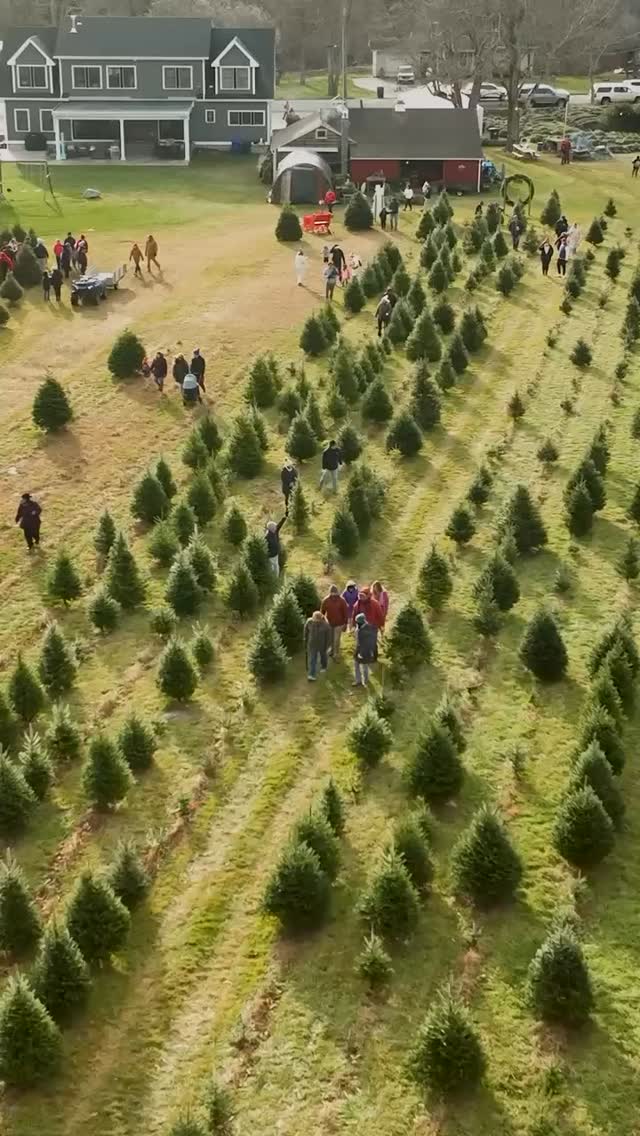 New and Exciting things happening at the Farm this year! Check out our new tent filled with sweet treats, hot coffee, delicious speciality hot chocolates! Lots of local merchandise to purchase and skip the long lines 🎄