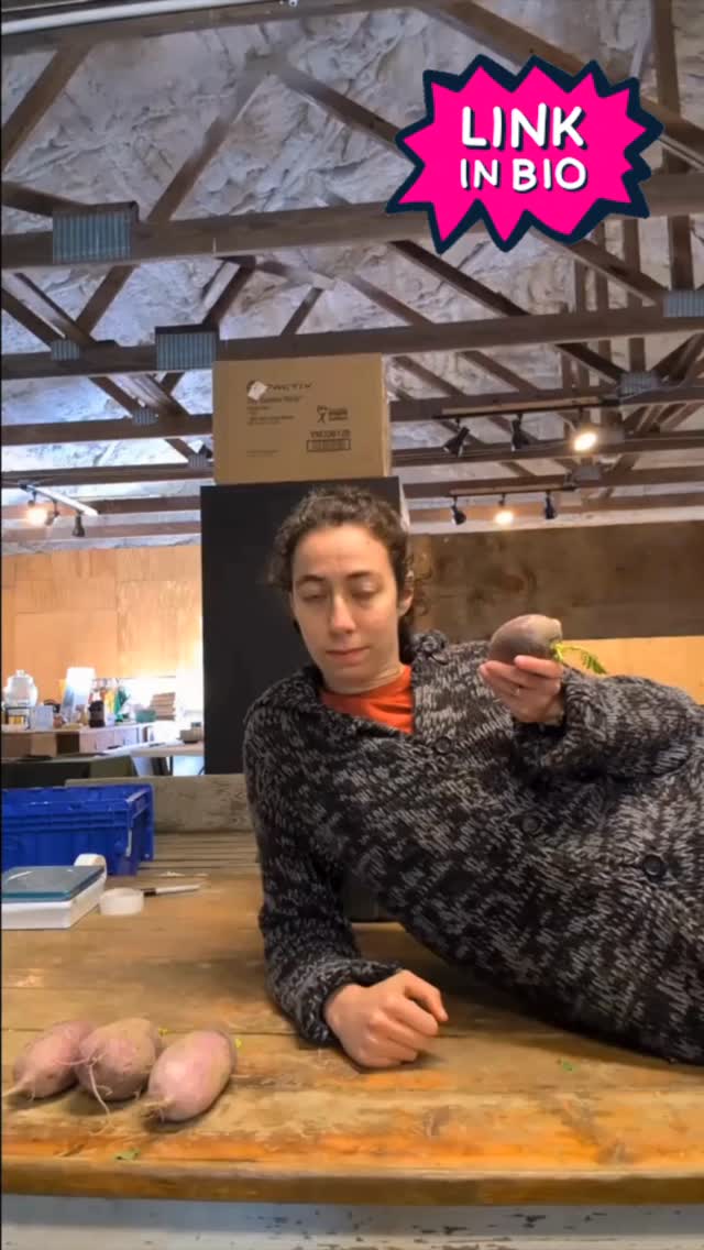 Join our match campaign! Now through December 26th all donations will be doubled, making your contribution twice as impactful! With your help Phillies bridge can continue investing in sustainable agriculture, food justice and education. Donate at www.philliesbridge.org/donate