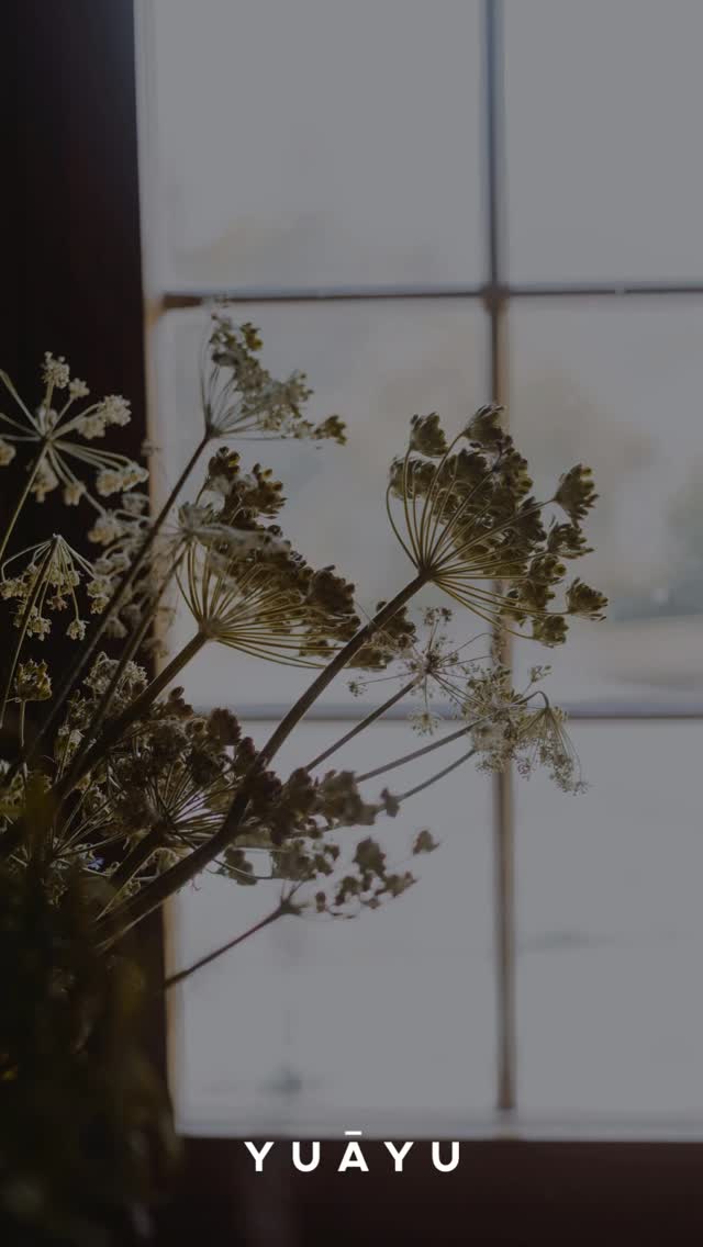 Räuchern für jede Stimmung ✨
Vata beruhigt, Pitta harmonisiert, Kapha aktiviert. Probiere unsere drei Mischungen, handgemacht in Vorarlberg und inspiriert von Ayurveda.
Für jede Stimmung der passende Duftmoment 🌿💛
Welcher Mix begleitet dich heute?
#yuayu #ayurvedaroutine #räuchermischungen