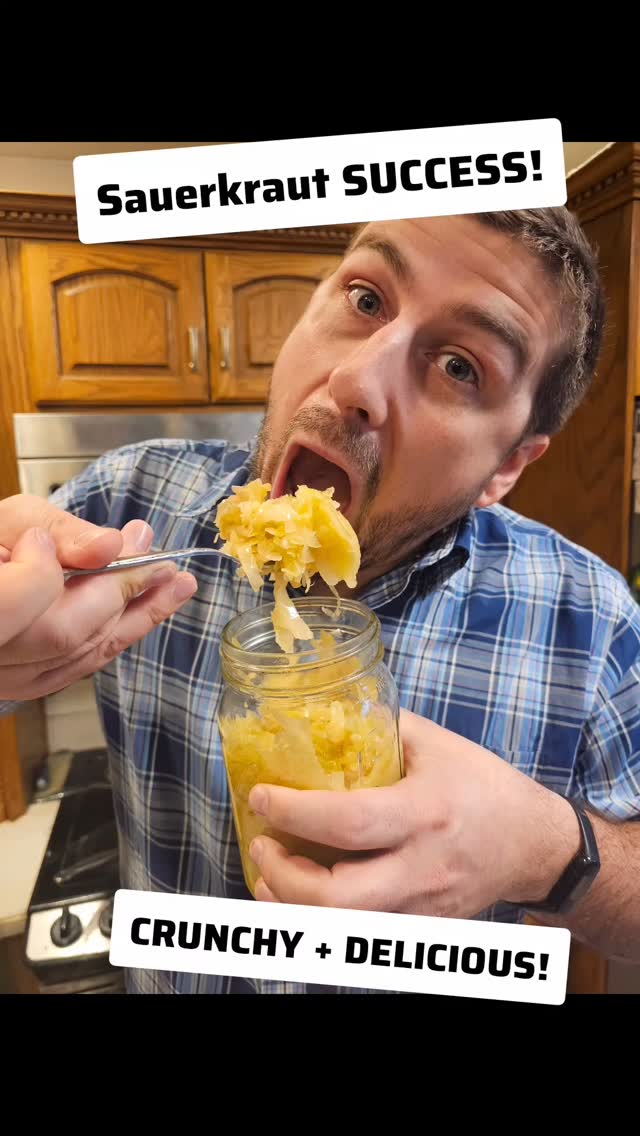 Our second attempt at sauerkraut… and we finally did it! 🥬✨
It’s crunchy, fresh, and the perfect amount of salty. Honestly—way better than we expected.
Now the question is… what should we try next?!
Drop your ideas! ⬇️
#ASimpleGroundedLife #Homesteading #Fermentation #FoodPreservation #FromScratchLiving