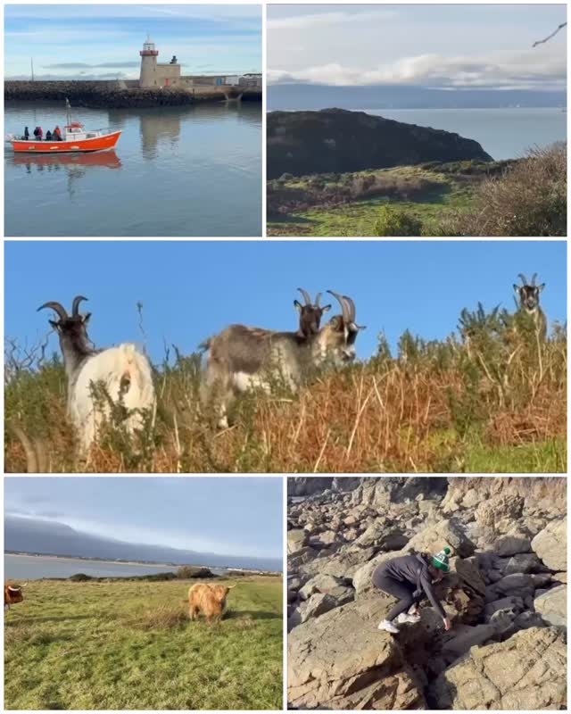 Winter in Dublin 🧤🌊🐐🍂🍃🥾
#howthadventures
#winterindublin
#dublincoastaltrail
#thingstodoindublin
#hiking
#boattours
#wildlife
