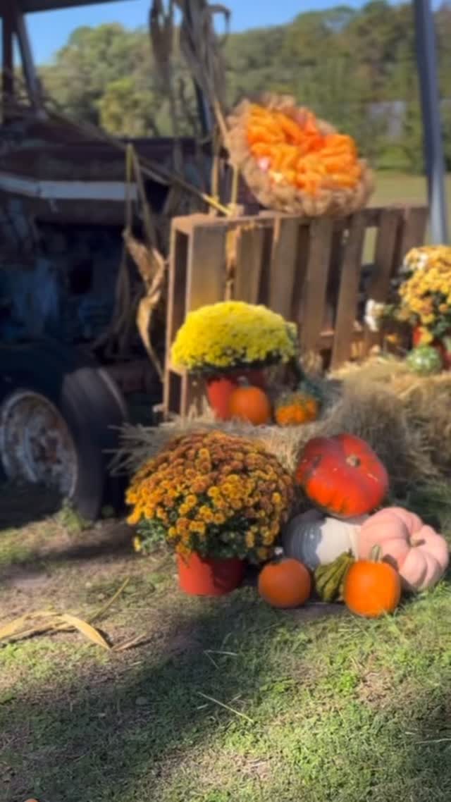Last month, we celebrated our first Fields Farm Fest— and what a beautiful day it was.
Thank you to everyone who joined us in supporting local growers, culture, and community. As with any first event, we experienced a few learning moments and we will be getting better for next year.
📸 All photo-booth pictures will be available this weekend to download at JosephFieldsOrganicFarm.com.
With Thanksgiving tomorrow, we want to say thank you for being part of our mission. At Joseph Fields Farm, we remain committed to feeding families organically and keeping healthy food accessible to our community.
We appreciate you more than you know. #farmfest #johnsisland #supportlocalfarms #organic
