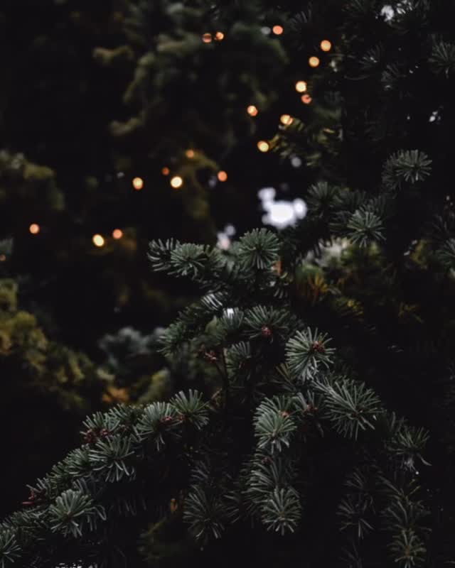 Join us for our Christmas Candlelight Service. Sunday, December 21st at 10:30am.