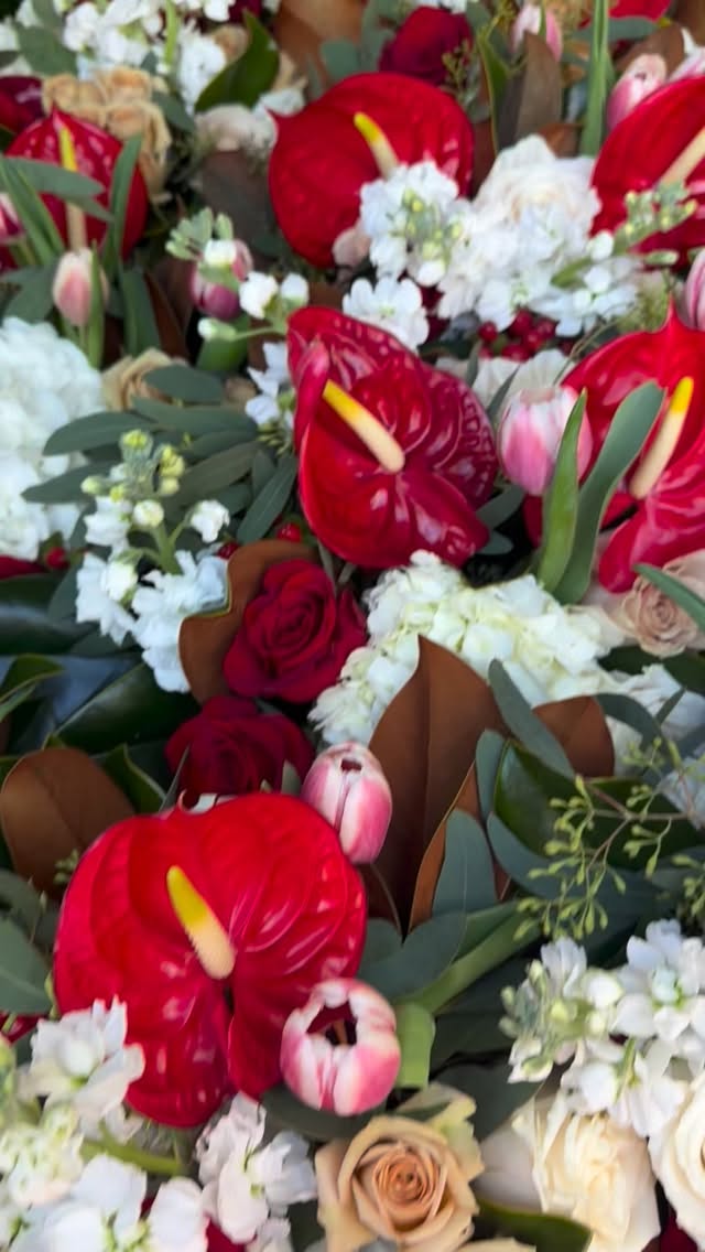 🦀🐟🦪🍤Petals & Prawns 🦐 🐙🍣🍱
Vibrant red and cream was the color palette for a seafood extravaganza during Vintage Weekend.
To achieve a fresh look full of texture I mixed magnolia leaves with tulips, roses, anthuriums and hydrangeas and seeded eucalyptus.
#designsbydarenda #flowers #flowerstagram #freshflowers #centerpieces #redflowers #creamflowers #seafood