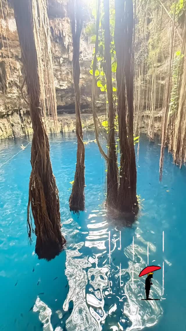 A fun-filled day with mixed weather it must be said. For this Korean-Canadian family it was a day seeing wonder after wonder. A modern wonder of the world, the wonders of Yucatecan / Mayan cuisine, the Spanish colonial wonder of a town and the natural wonder that is a cenote on the Yucatan peninsula. Mexico rocks! #cancun #mexico #cenote #rain #privatetour