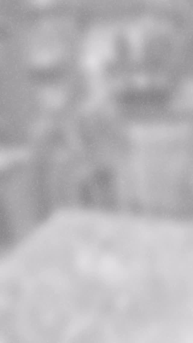 This is your sign to book a Wreath Making Workshop at @juniper_rose_flower_studio 📍 Midleton, Cork!