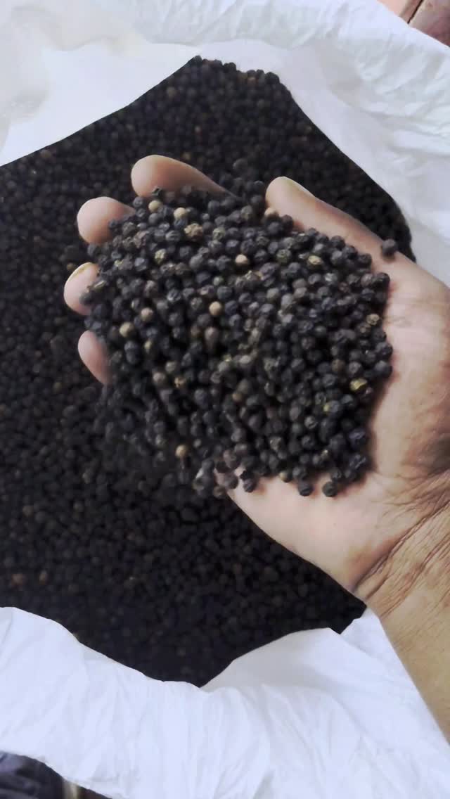 BLACK DIAMOND
Black Pepper
Esspices.com
Shop
#black #pepper
#nature #organicspices #spice #cardamom #kerala #spicelovers #love #onlineshop #onlineshop #pepper #naturelovers #onlinestore