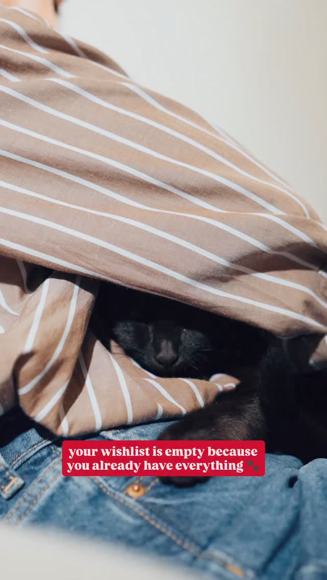 more than enough 🎄🐾❤️
@mikesvetdxb