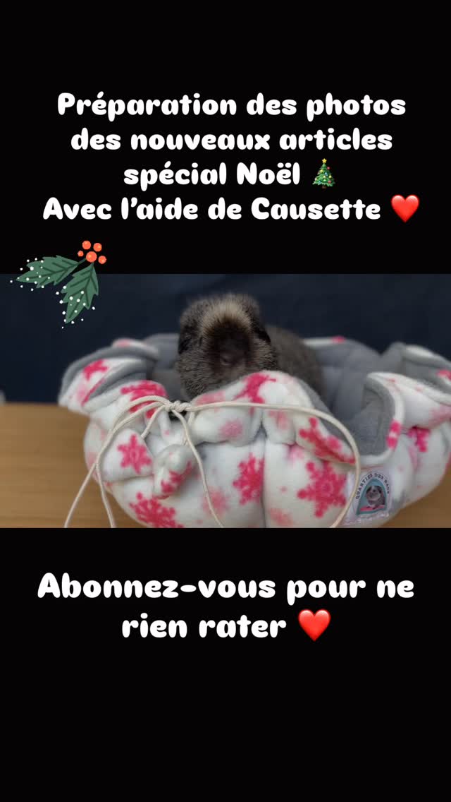 🎄✨ Causette m’aide à préparer les photos des nouveautés de Noël !
Aujourd’hui, c’est séance shooting dans l’atelier… et Causette a décidé que le nid à câlin serait SON endroit pour superviser 😍
Entre deux poses trop mignonnes, on met la touche finale aux nouveaux dodos tout doux de la collection spéciale Noël.
Ils arrivent très bientôt… et promis, ils sont encore plus moelleux que ce que vous imaginez ❄️❤️
Hâte de découvrir ?
📸 Restez connectés pour découvrir toutes les nouveautés !
Prenez soin de vos animaux avec Quartier Des Nacs.
#cochondinde #lapin #bienetreanimal #animauxdecompagnie #noelanimaux #chat