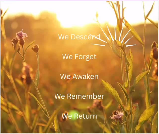 The Divine Template, the sacred cosmic cycle that is our birth/ death right/ rite of passage outside of the soul trap, endless memory wipes, consciousness splicing and re cycles of life and death