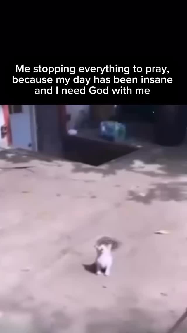 Stop and pray. ✨🙌🏼
#catholicmemes #faithwithhumor #surrendertogod #trustingod #godsplan #faithoverfear #holyspirit #godisincontrol #surrendertogod #walkbyfaith #faithjourney #letgoletgod