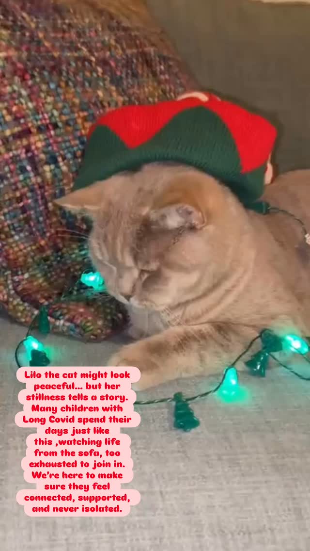 Lilo the cat might look peaceful… but her stillness tells a story.
Many children with Long Covid spend their days just like this ,watching life from the sofa, too exhausted to join in.
LCK continues to advocate for better health and education support, but children need help today.
We’re here to make sure they feel connected, supported, and never isolated.
Thanks for all the support so far with our BigGive campaign. Link to our @biggiveorg donate page is in our bio.
#longcovidkids #longcovid #charity #longcovidawareness #charitywork #mecfs #fundraiser #biggive #fundraisingfriday #cats_of_instagram #cat