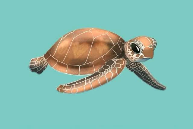 🐢 English
Guardians of the ocean, born to travel the tides.
Sea turtles play a vital role in keeping our oceans healthy — balancing ecosystems, protecting coral reefs, and reminding us of the beauty of marine life.
In our upcoming book The Gentle Giant, these incredible travelers take their place alongside the whale shark, showing the harmony and wonder of the underwater world.
A story of giants, journeys, and the ocean’s most peaceful beings.
⸻
🐢 Español
Guardianas del océano, nacidas para viajar con las mareas.
Las tortugas marinas son esenciales para la salud de nuestros mares — equilibran los ecosistemas, protegen los arrecifes y nos recuerdan la belleza de la vida marina.
En nuestro próximo libro El Gigante Gentil, estas viajeras increíbles acompañan al tiburón ballena, mostrando la armonía y la magia del mundo submarino.
Una historia de gigantes, viajes y los seres más pacíficos del océano.
#NaturaEditors #SeaTurtles #OceanGuardians #TheGentleGiant #MarineLife #KidsBooks #OceanEducation #WildlifeForKids #ProtectOurOceans #IllustratedBooks