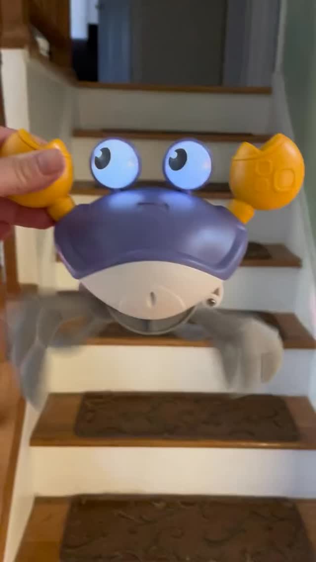 #toy #crab #crabyou #enrichmentfordogs #dogsofinstagram #gsd #germanshepherd #gsdofinstagram #gsdlife #gsdnation #gsdlove #dogs #gsdrules