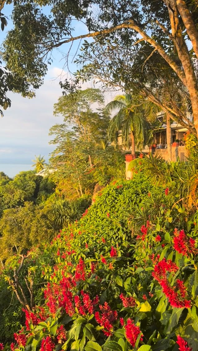 We live on a wildly beautiful planet. Sheesh.