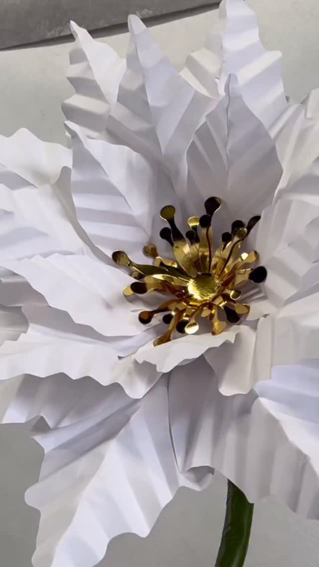 In honor of @pantone’s 2026 color of the year, Cloud Dancer, let’s make a white giant poinsettia 🤍
Digital Template available in our website or Etsy shop (access through the link in our bio)
#pantonecoloroftheyear #giantflowers #paperflowers