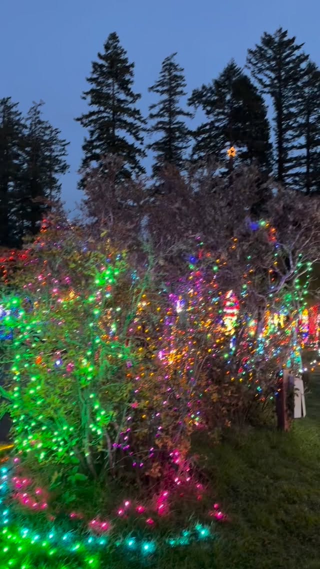 It is that time of year again for Holiday Light Displays — if you are on the Oregon Coast you have to check out the show at Azalea Park in Brookings, OR they have over 3 million lights this year.