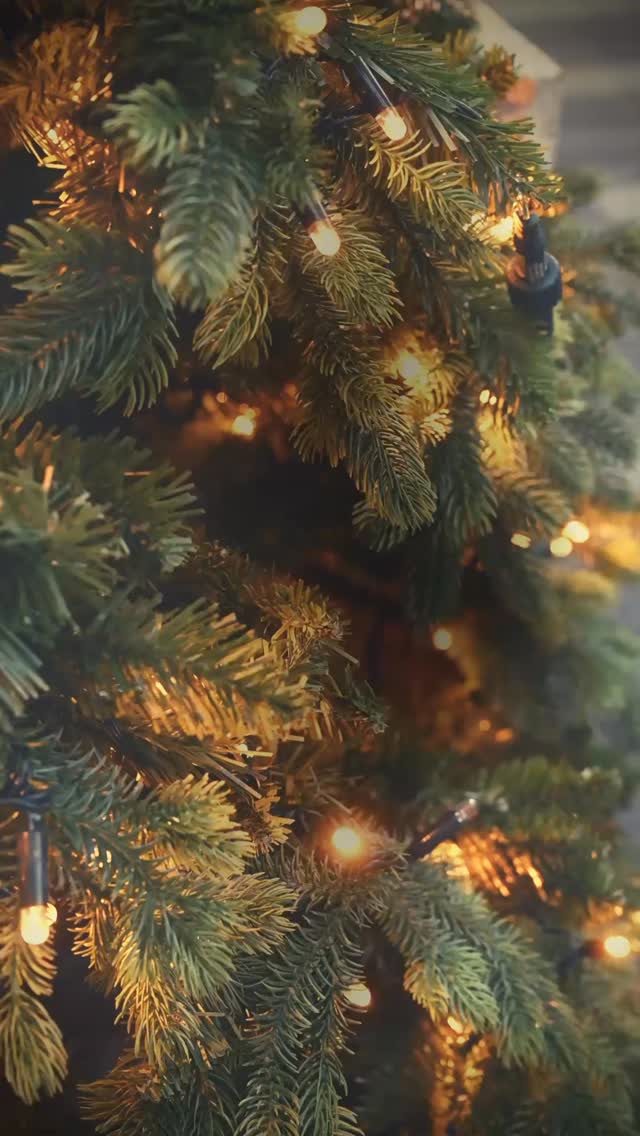 A quiet kind of Christmas.
Soft light, thoughtful details, and moments that linger longer than the season itself.
Wishing you a Merry Christmas from all of us at Curation Edit. May your days feel curated, intentional, and gently beautiful.
#CurationEdit
#SlowChristmas
#IntentionalLiving
#AestheticCulture
#quietluxury