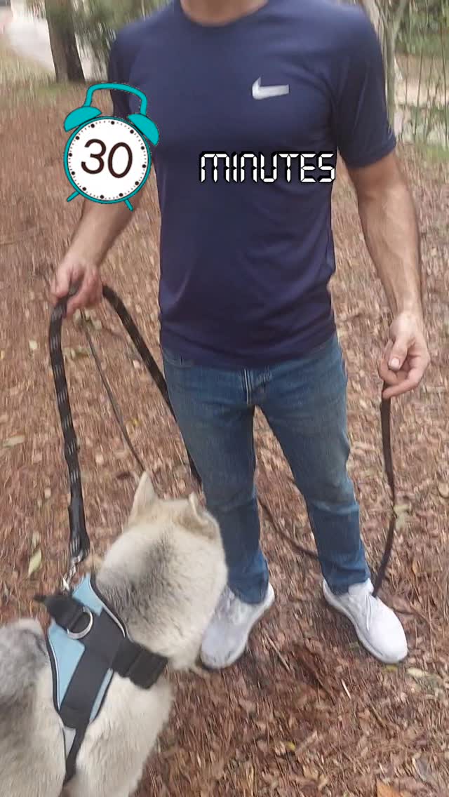 Never met this dog before today
My technique always works
#dogtrainer #dogtraining #losangeles #hollywood #dogwalking #harness #discipline #love #husky