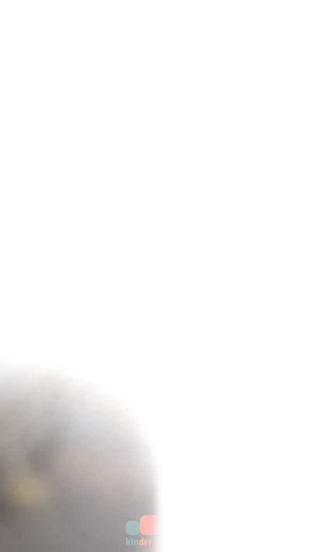 STRIKE! 🎳✨ Holiday fun just got louder, brighter, and way more exciting!
Our Kinderians took over the bowling alley today — a mix of fearless first-timers, confident regulars, and our very own in-house bowlers leading the way. From the moment the briefing ended, it was pure energy… balls rolling, pins flying, cheers echoing, and kids celebrating every tiny win like a championship moment.
There’s something magical about seeing new members blend right into the KG family, laughing together as if they’ve known each other for ages. Today wasn’t just bowling — it was confidence building, friendship making, and memory creating. And the joy on their faces? Unbeatable. 💛💙💗
Holiday fun: unlocked.