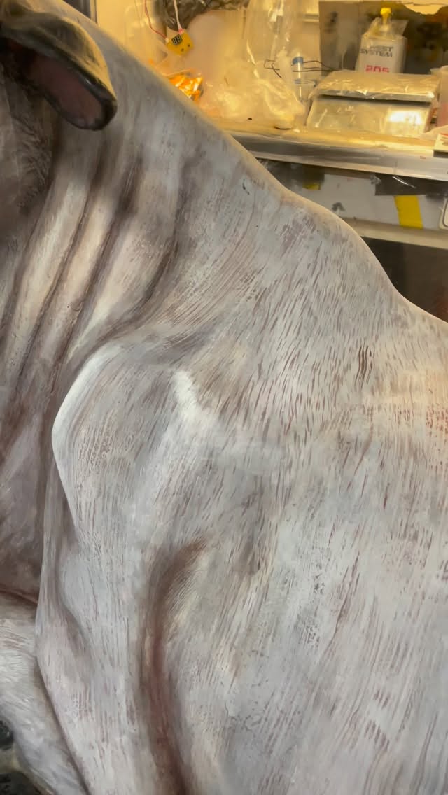 Muuu. Nu är kossan ute på bete igen. Den kan beskådas i julkrubban på Årsta torg.